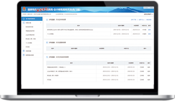 納稅申報系統(tǒng)